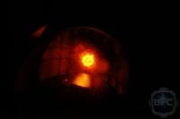 06_infiniti_g35_burnt_orange_projector (22)
